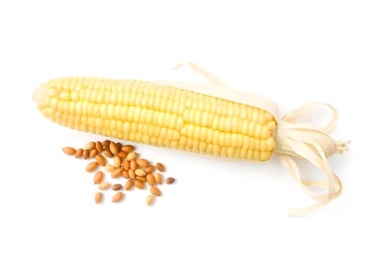 A Closer Look at Peeled Corn and Seeds